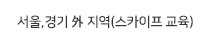 스카이프